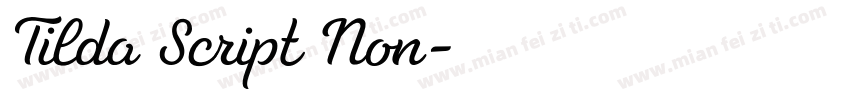 Tilda Script Non字体转换